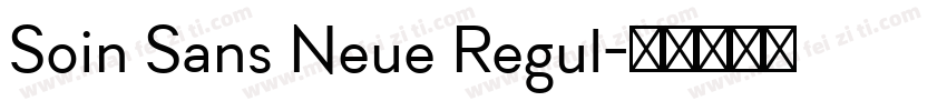 Soin Sans Neue Regul字体转换